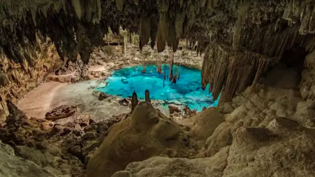 Grupo Xcaret causó daños a cenotes de Yucatán