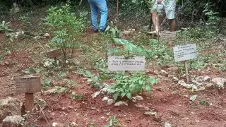 Algunos hijos ya no están interesados por mantener dichas prácticas, mientras que otros quieren rescatar algunas de las costumbres que se estaban olvidando