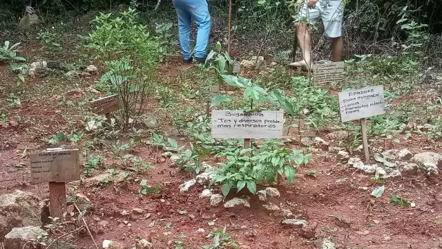 Algunos hijos ya no están interesados por mantener dichas prácticas, mientras que otros quieren rescatar algunas de las costumbres que se estaban olvidando