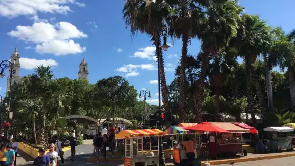 Mérida en domingo será suspendido este domingo 20 de noviembre Mérida en domingo será suspendido este domingo 20 de noviembre