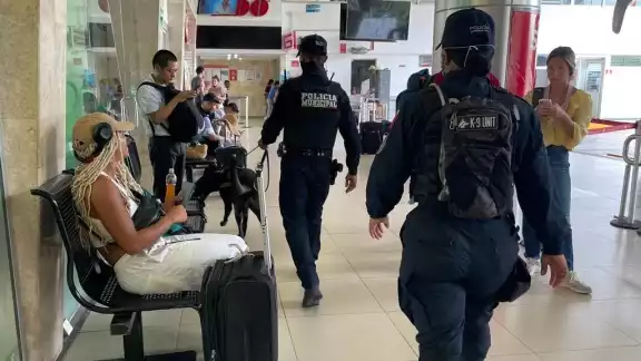La detención sucedió tras el señalamiento de alerta que hizo el elemento canino
