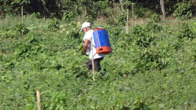 En breve se van a activar unos cursos para combatir los parásitos en los cultivos de la región, principalmente en cítricos.
