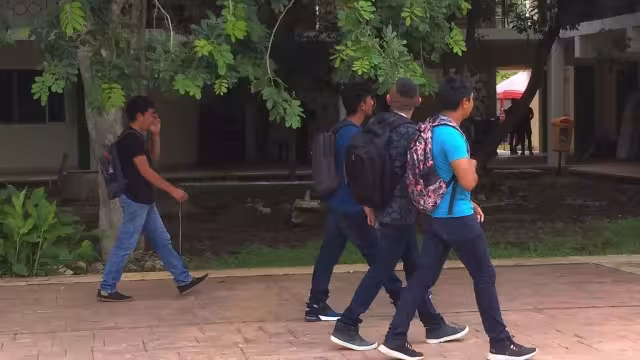 La pandemia y la falta de acceso a Internet truncó sus estudios