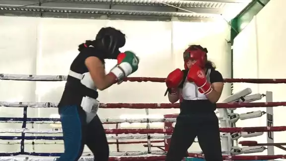 Los boxeadores quintanarroenses sí participarán en el evento Los boxeadores quintanarroenses sí participarán en el evento
