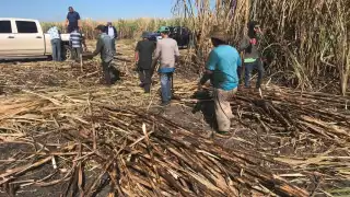 Productores de caña de Quintana Roo denuncian presunto contrabando de azúcar proveniente de Belice