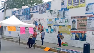 Alarma en Quintana Roo: reportan 32 desapariciones en tres días; la mitad son menores