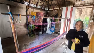 “Ni cobijas nos llegan": Familias de la colonia Bicentenario en José María Morelos enfrentan el frío sin apoyo