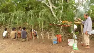 El productor que realiza todos los procedimientos en su terreno tiene buena cosecha