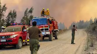 Incendios forestales en Chile dejan 15 personas muertas en 24 horas