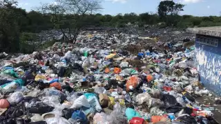 Trabajadoras reconocieron laborar en condiciones insalubres.