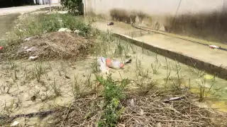 Sin control fugas de agua en Chetumal, denuncian