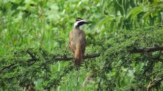 El promedio de zonas forestales críticas en Campeche es de los más altos en México, según datos de la Profepa