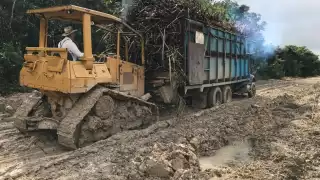 La zafra 2020-2021 es la más complicada y cara de los últimos años