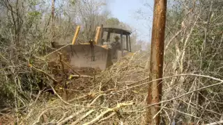 Productores de Hopelchén declaran a los menonitas como "enemigos del campo"