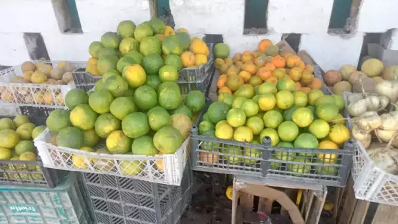 Las secas prolongadas causan la caída de las flores, y en consecuencia, los árboles producen menos frutos; su supervivencia se pone en riesgo Las secas prolongadas causan la caída de las flores, y en consecuencia, los árboles producen menos frutos; su supervivencia se pone en riesgo