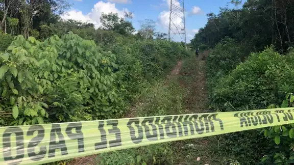 En la colonia Tres Reyes en Cancún fueron hallados restos humanos putrefactos En la colonia Tres Reyes en Cancún fueron hallados restos humanos putrefactos