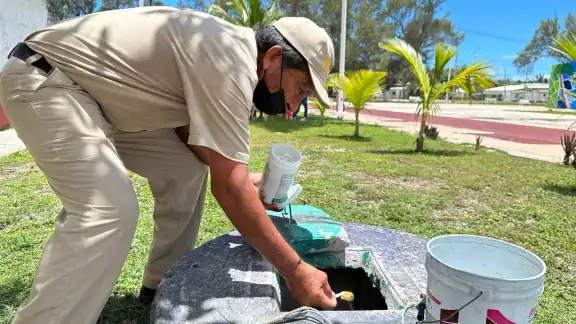 En distintas partes hay charcos de agua que albergan huevecillos. En distintas partes hay charcos de agua que albergan huevecillos.
