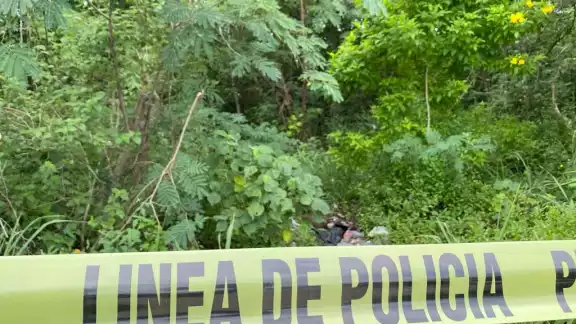 Es verdad que hallaron 10 cuerpos en la selva de la Riviera Maya, esto es lo que se sabe Es verdad que hallaron 10 cuerpos en la selva de la Riviera Maya, esto es lo que se sabe