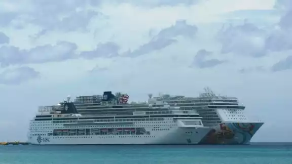 Los cruceros no llegan a Cozumel debido a la pandemia Los cruceros no llegan a Cozumel debido a la pandemia