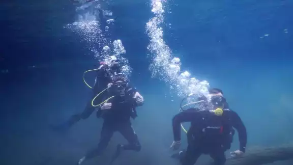 De los lugares preferidos para bucear está el arrecife Alacranes, muy cerca de la costa de Yucatán