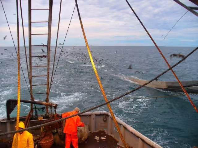 Con 60 barcos detenidos, Campeche impulsa apertura de zonas restringidas en el Golfo de México