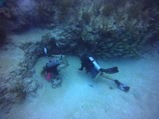 Procuraduría Federal de Protección al Ambiente (Profepa) no ha respondido, pese a tener un plazo de ley