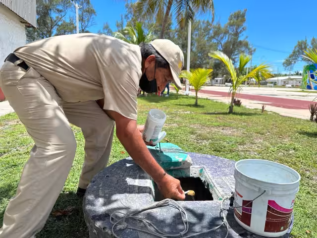 En distintas partes hay charcos de agua que albergan huevecillos.