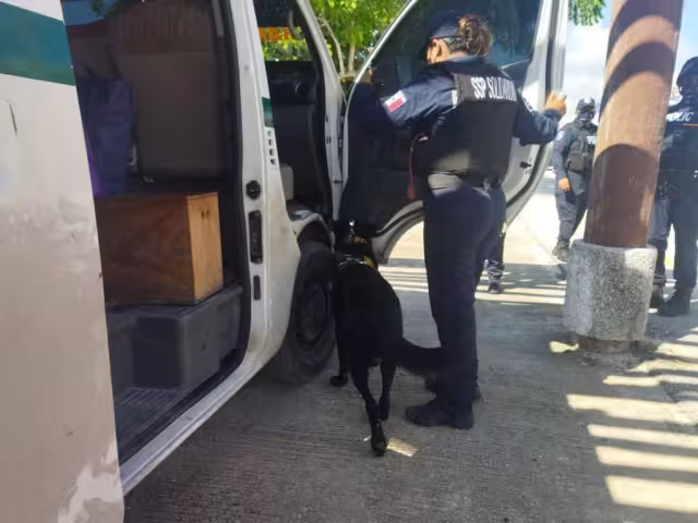 Durante la inspección de seguridad el canino de la Unidad K9 realizó un marcaje sobre un pasajero