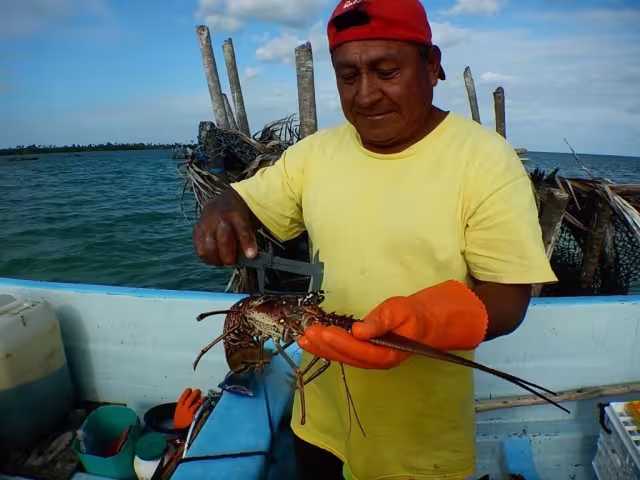 Yucatán tuvo un aumento considerable en ingresos por pesca de 2017 al 2020, aunque no logró subir su tonelaje