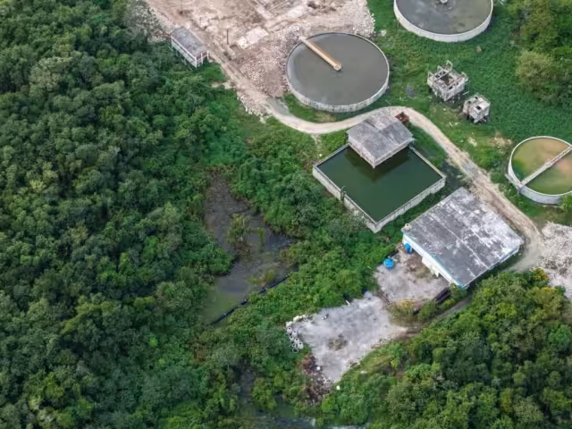 Sélvame MX denunció derrame de aguas residuales de la planta “San Miguelito” en Cozumel