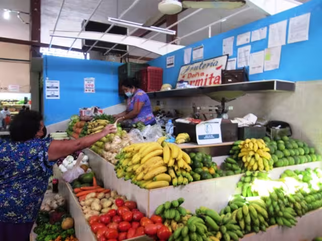 De comercializarse, hasta en 20 pesos el kilogramo de limón, el costo llega de 28 a 30 pesos a Cozumel