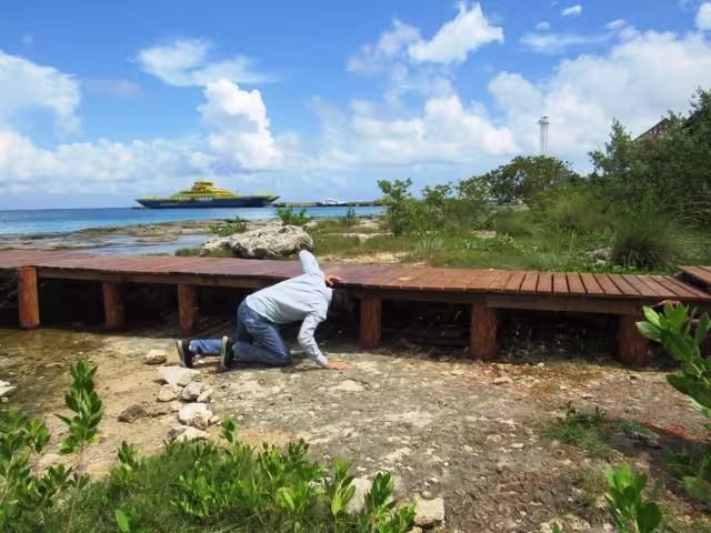El concesionario no ha pagado el uso de suelo del predio, demás de que construyó un andador sin permiso en Cozumel