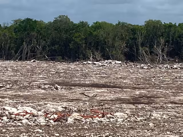 En febrero, Semarnat negó permisos a la empresa Salvamentos