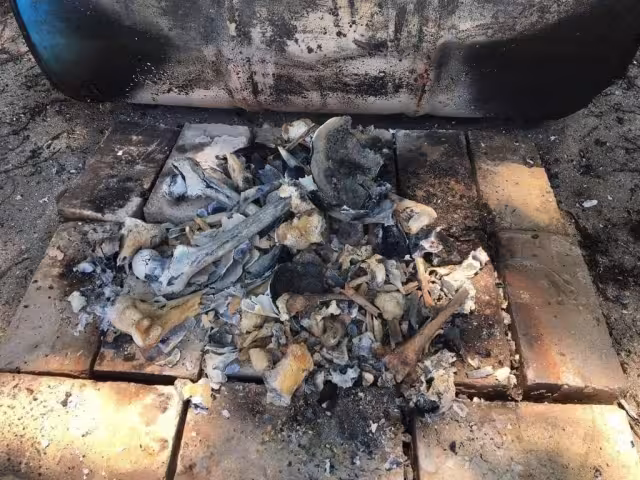 El funcionario público detalló que se tienen contabilizados por lo menos 600 bolsas con restos humanos, algunos de ellos exhumados o inhumados