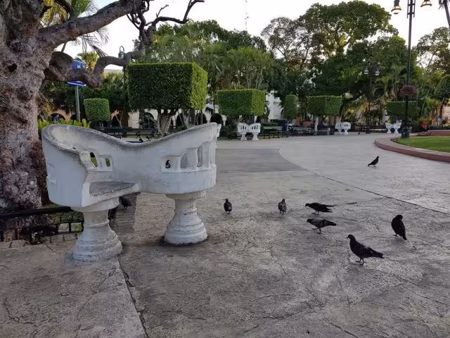 La historia surge en el municipio de Bokobá