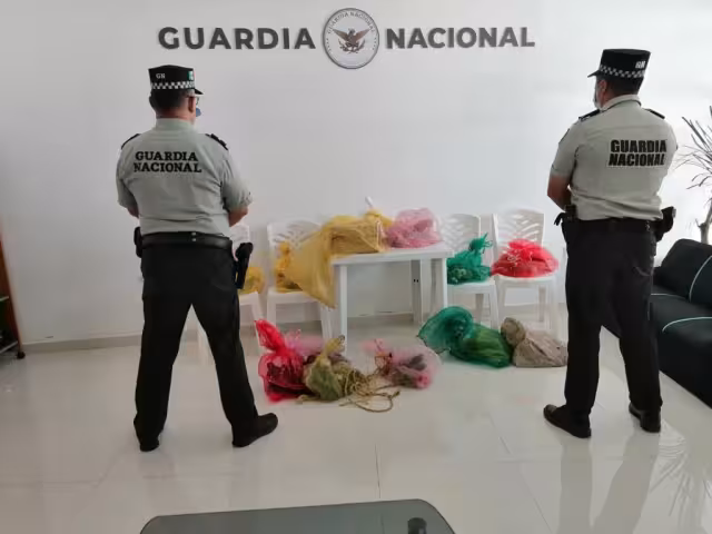 El hombre fue detenido y puesto a disposición de la Fiscalía General de la república
