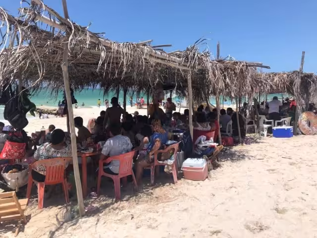Siguen apareciendo estas estructuras cuyo costo para adquirirse va de los 200 a los 500 pesos por renta