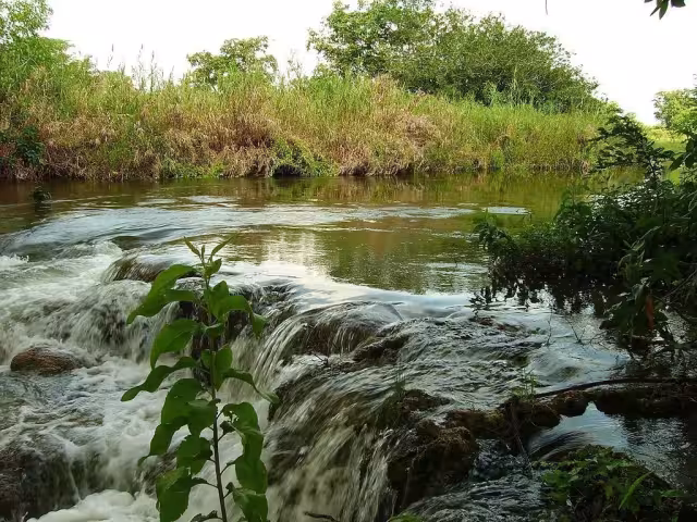 El Río candelaria está catalogado como uno de los ríos con menor contaminación en México