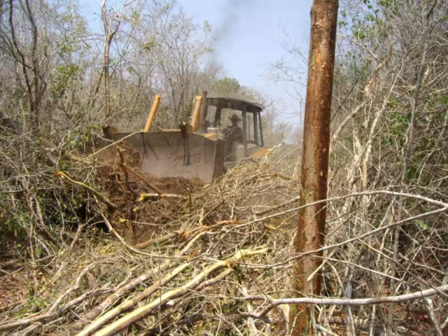 Las prácticas empleadas no respetan especies protegidas ni zonas arqueológicas.