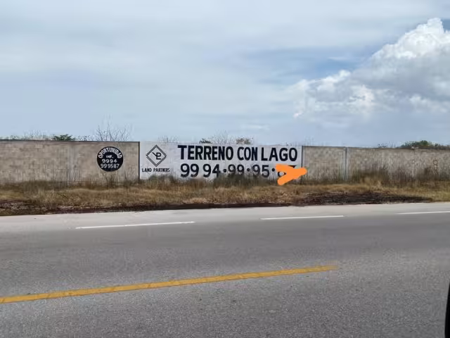 El explorador lamentó que se estén llevando a cabo este tipo de prácticas en la entidad