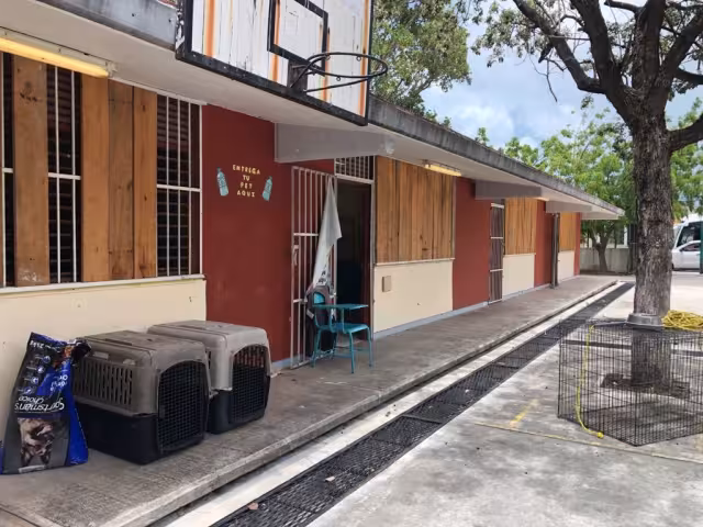 Los animales contarán con comida y agua que será totalmente gratuita