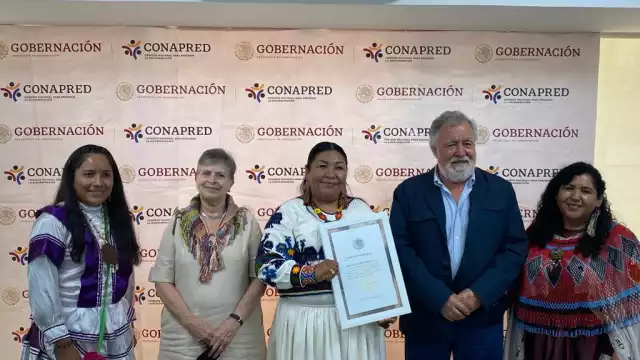 16 años de experiencia en la docencia en los niveles básico y medio superior