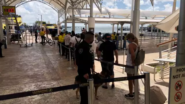 Al lugar llegó la Policía Estatal junto a la unidad canina, para la detección de narcóticos