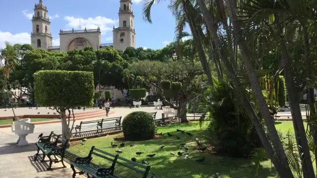 Muchos de estos parques tiene más de 100 años de existencia