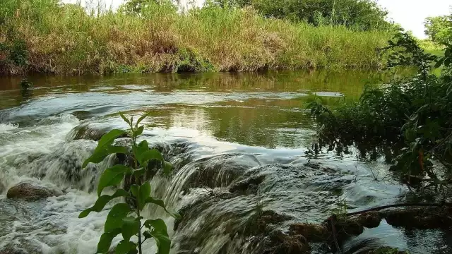El Río candelaria está catalogado como uno de los ríos con menor contaminación en México
