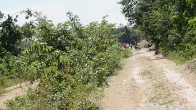 Ejidatarios ven el cultivo de marihuana como una nueva oportunidad de mover sus tierras, generar empleos y recibir ingresos.