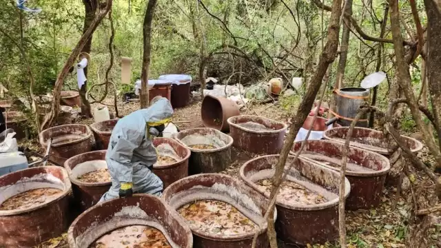 Marina y FGR desmantelan laboratorios clandestinos y plantíos de marihuana y amapola
