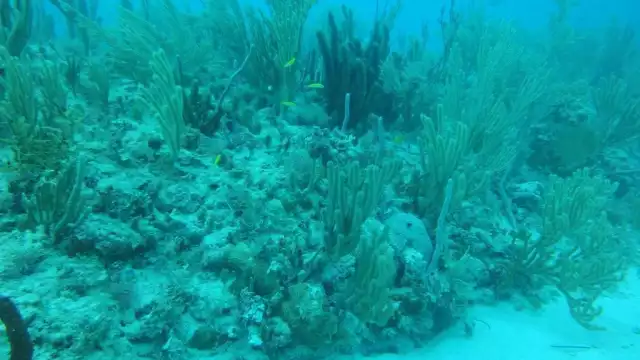 FOTOS: Víctor Rodríguez