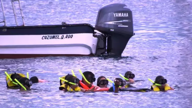 Durante agosto y septiembre cinco zonas están cerradas para proteger al arrecife de coral en Cozumel