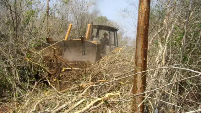 Las prácticas empleadas no respetan especies protegidas ni zonas arqueológicas.